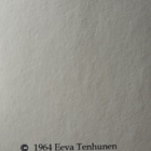 Eeva Tenhunen - Mustat kalat (nid.) - pikkukuva 3