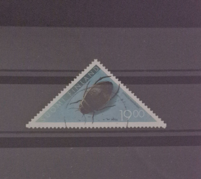 1996 KOVAKUORIAINEN 19MK LEIMATTUNA, LAPE 1346