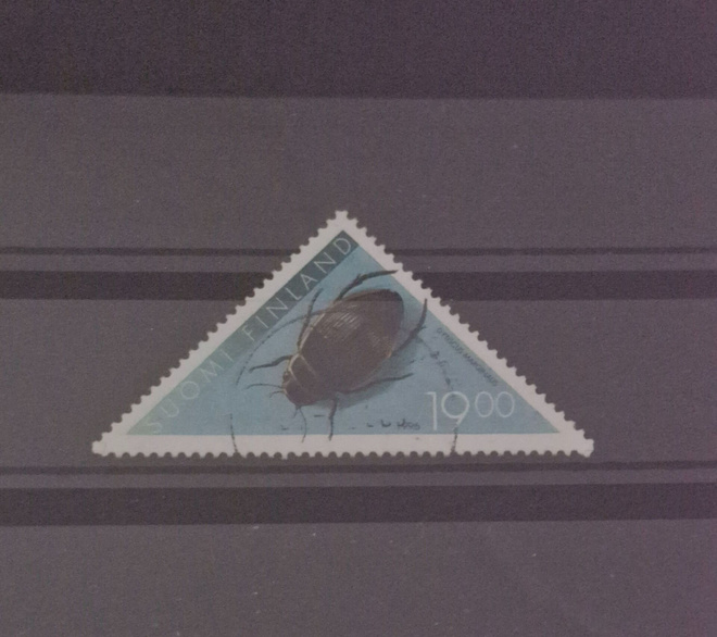 1996 KOVAKUORIAINEN 19MK LEIMATTUNA, LAPE 1346