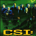 CSI :  Las Vegas  -  Kausi 2  -  (6 DVD) - pikkukuva 1