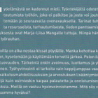 Marja-Liisa Manka: Työrauhan julistus - pikkukuva 3