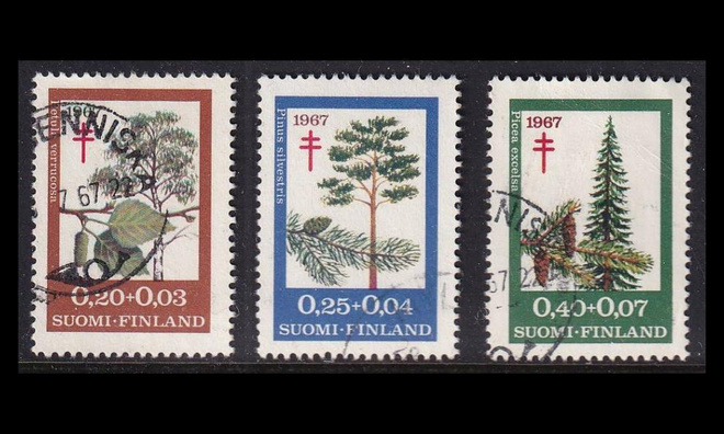 623-5 o Tuberkuloosi puita (1967)