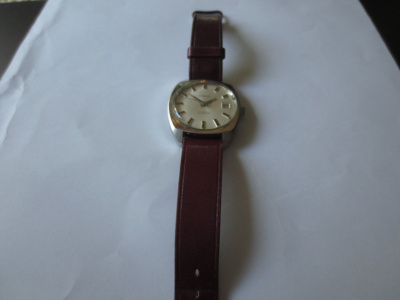 Miesten Rannekello Sandoz, 17 Jewels
