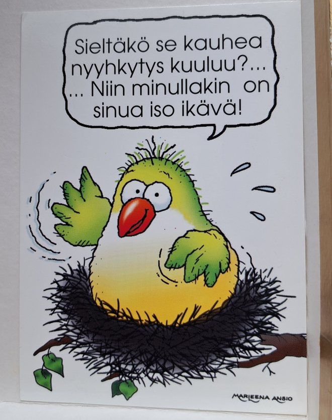 Ansio Marleena: lintu pesässä kaipailee, uusi