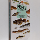 J. Moller Christensen : Fishes of the British and Norther... - pikkukuva 1