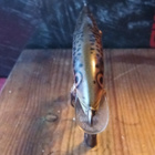 Rapala Floating Finland 6cm TR - pikkukuva 3
