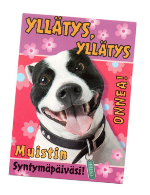 °°YLLÄTYS, YLLÄTYS ONNEA! MUISTIN SYNTYMÄPÄIVÄSI /(Paletti)