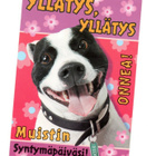 °°YLLÄTYS, YLLÄTYS ONNEA! MUISTIN SYNTYMÄPÄIVÄSI /(Paletti) - pikkukuva 1