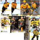 59 x SAIPA Eri Vuosilta - pikkukuva 3