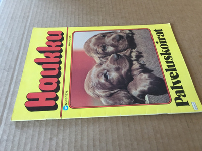 HAUKKU LEHTI 8/1975 HYVÄ