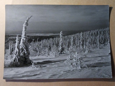 Yllästunturin lumista rinnettä, vanha mv vkpk, p. 1957