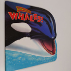 Irene Trimble : Know-It-Alls : Whales! - pikkukuva 1