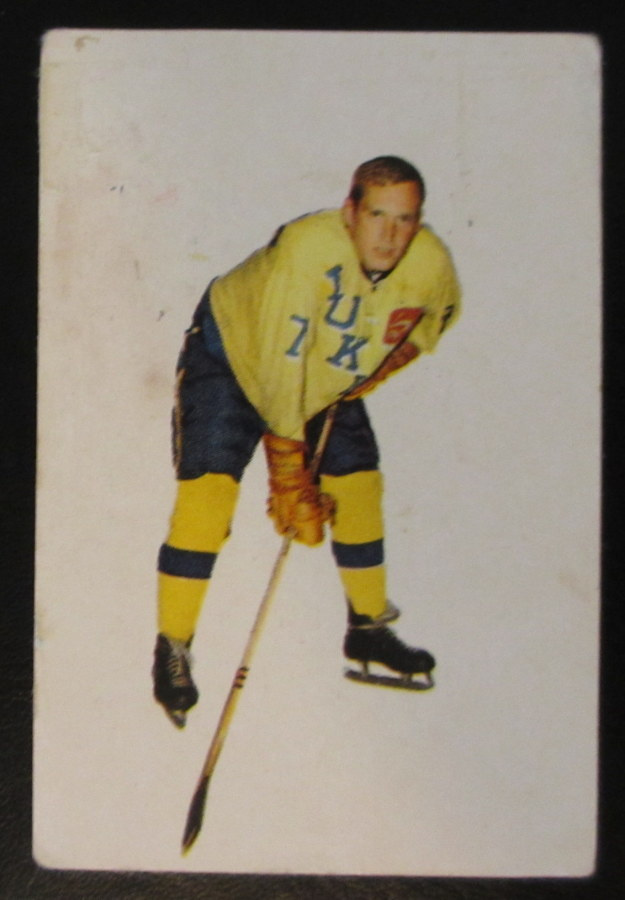 HANNU TÖRMÄ Rauman Lukko Champion 1966