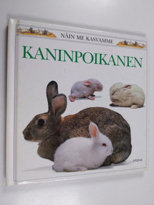 Barrie Watts : Kaninpoikanen