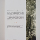Carlos Ruiz Zafon : Marina - pikkukuva 2