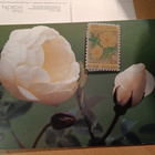 Nordia 1993 korttia 2 kpl toisessa pinssi mukana - pikkukuva 1
