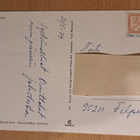 ruusu "Rob Roy", kulkenut 1979 - pikkukuva 2