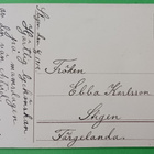 Nuoriherra tuo kakun ja kukkia onnitteluina, k. k-k 1912 - pikkukuva 2
