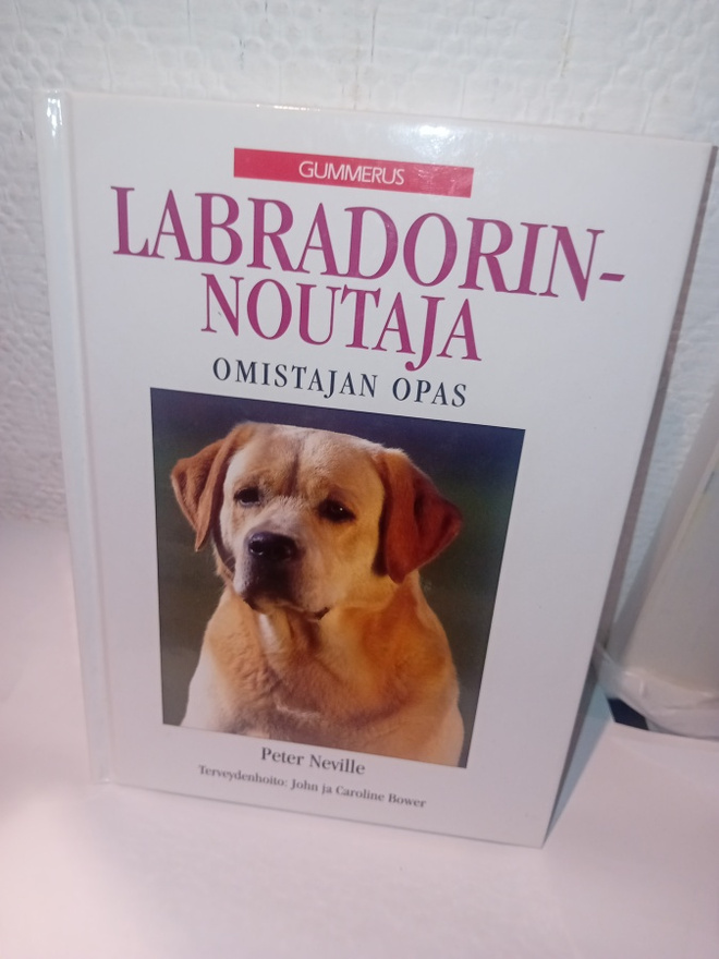 Neville : Labradorinnoutaja ( SIS POSTIKULU )