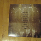 GREEN & WOOD - GREEN & WOOD lp - pikkukuva 2