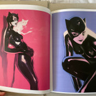 2 kpl pin up taidekirjat, Jace Wallace - pikkukuva 3