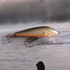 Rapala CD-7 Finland Spec. - pikkukuva 1