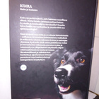 MÄKI-KIHNIÄ : KOIRA - HOITO JA KOULUTUS ( SIS POSTIKULU ) - pikkukuva 2