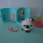 Littlest Pet Shop figuuri, persialainen kissa + talo - pikkukuva 3