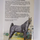 Danielle Steel : Palomino - pikkukuva 2