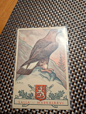 Z15 Salla-Märkäjärvi A.Tilgman