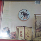 CHICKENWOOD GREEN - TEN YEARS AFTER M-/M- LP US -80 REISSUE - pikkukuva 2
