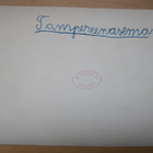 VANHA Valokuva Tampere Rautatie Asema 1930-luku - pikkukuva 2