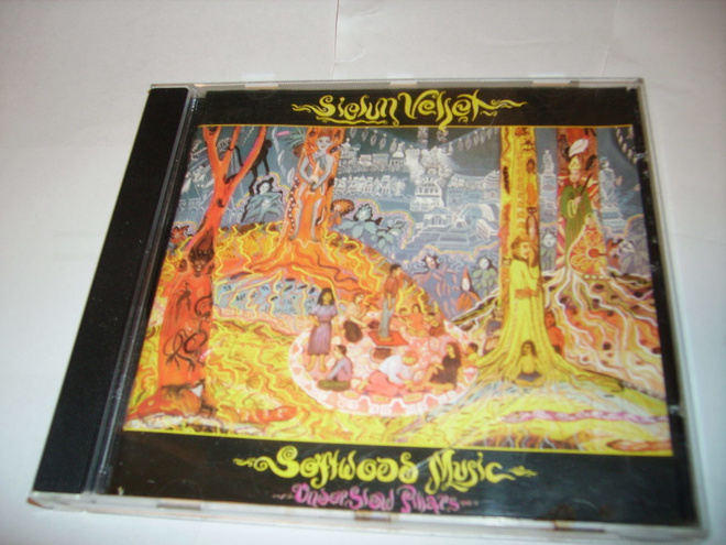 SIELUN VELJET: Softwood Music - Under slow pillars CD