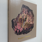 Rhodonite - Rodonit (Laatikossa) - pikkukuva 1
