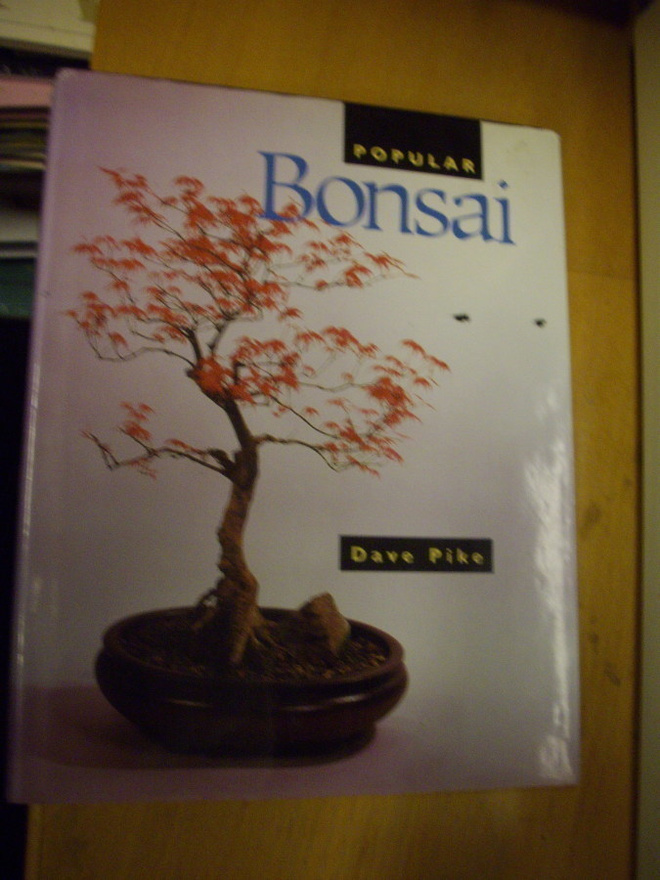 Dave Pike: Popular BONSAI (1991) Sis.postikulut
