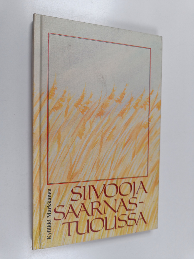 Kyllikki Markkanen : Siivooja saarnastuolissa (signeerattu)
