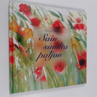 Anja Porio : Sain sinulta paljon - pikkukuva 1