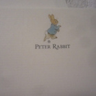 Petteri Kaniini Kirjepaperi / Paperikko  8 paperia ja kuorta - pikkukuva 3