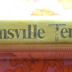 "THE DEVONSVILLE TERROR" (SUOMI Fix VHS ! !) - pikkukuva 4