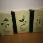POHJOLAN KASVIT 1-3 ( SIS POSTIKULU ) - pikkukuva 4