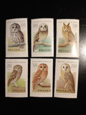 LINNUT pöllöt, petolintuaiheinen sarja PUOLA 1990 **