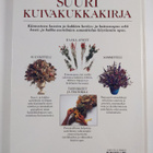 Malcolm Hillier : Suuri kuivakukkakirja : kuivakukkia ja ... - pikkukuva 2
