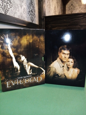 DVD EVIL DEAD (  SAM RAIMI) SIS POSTIKULU