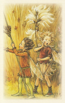 Cicely Mary Barker: Kukkakeijut suovilla ja röyhyvihvilä