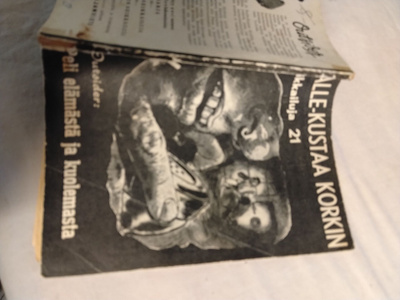 kallekustaa korkin seikaliluja 21
