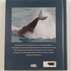 Megan Whittaker : The Wonders of Whale Watching in Icelan... - pikkukuva 2