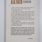 A. A. Fair : Poikamiehet pitkästyvät - pikkukuva 2