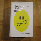 DAVID FOSTER WALLACE Päättymätön riemu * SILTALA 2020 * - pikkukuva 2