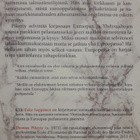 Pitääkö Pankkiirit Pelastaa (T. Piketty, kirja) - pikkukuva 5
