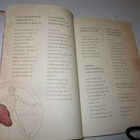 MARIO READING - NOSTRADAMUS 100 ENNUSTUSTA - pikkukuva 4